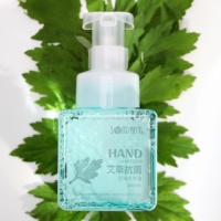 Le désinfectant pour les mains à bas prix contient de l'extrait naturel d'armoise, doux, antibactérien et purifiant.