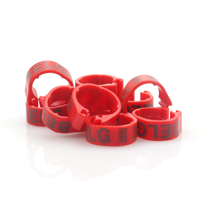 8mm <span class=keywords><strong>10mm</strong></span> פלסטיק יונה רגל רגל טבעות כידון דיגיטלי טבעת פתוח carrier מרוצי יונים יונה עם מילה רגל טבעת - Product Image 3