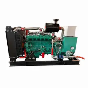Clean Fuel Less Genset 30kw 40kw 50kw LPG/Biogas/Natural Gas Generator for Home/Industry Electric Use