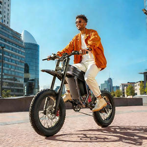 Moto tout-terrain <span class=keywords><strong>électrique</strong></span> professionnelle 2000W en alliage d'aluminium certifié CE, double suspension, batterie au lithium pour le sauvetage et le soutien - Product Image 4