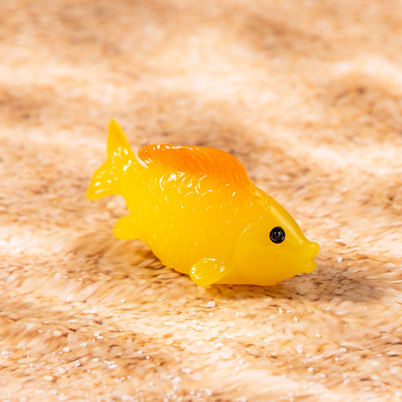 Grand poisson rouge - Regardez à droite