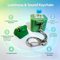 Premium Quality Rechargeable Lightweight Fashion Trend Croaking Frog LED Fidget Keychain Keyboard Sound Voice Clicker Toy