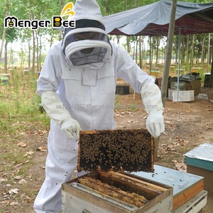 Nouveau modèle de cadre d'apiculture Menger Bee FR-2-03 assemblé avec une feuille de fondation en plastique noir, en pin de Nouvelle-Zélande, pour ruches - Product Image 2