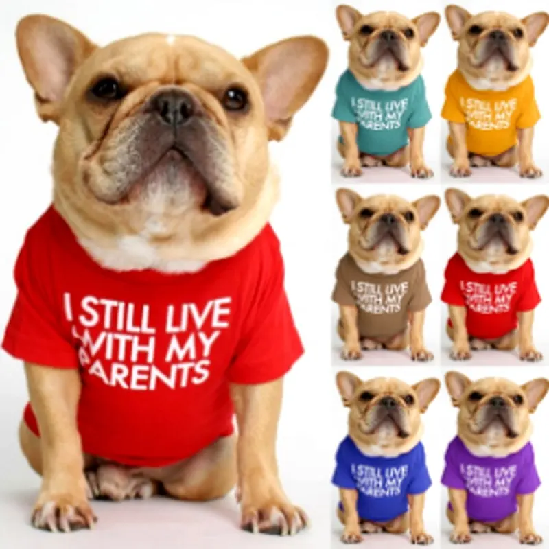 Kaus hewan peliharaan anjing Bulldog Teddy Dog pakaian hewan peliharaan Online populer pakaian hewan peliharaan Musim Panas berkelanjutan klasik pakaian kustom musim semi dan musim panas