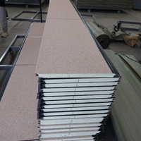 Panel de Pared Metálico Aislado Ignífugo de 16 mm - Revestimiento Exterior Moderno Tipo Sándwich para Casas Prefabricadas y Villas