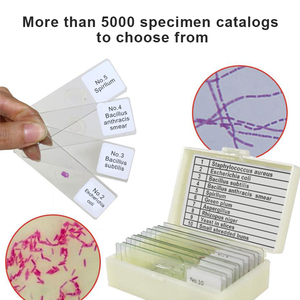 Juego de 100 Portaobjetos Preparados de Histología Humana Suministrados por la Fábrica, Portaobjetos de Microscopio Preparados de Histología Humana - Product Image 5