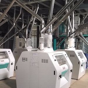 Máquina de Molienda de <span class=keywords><strong>Harina</strong></span> de Maíz Precocida, Molinos para <span class=keywords><strong>Harina</strong></span> de Tortilla y <span class=keywords><strong>Arepa</strong></span> - Product Image 4