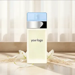 Profumo di Lusso Laurent all'Ingrosso, 100ml, Fragranza Legnosa a Lunga Durata, Spray Premium, Marca Originale Caftan Blouse - Product Image 4