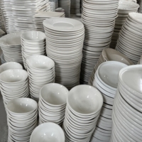 Céramiques Blanches de Fabricant en Gros à Prix Abordable 2022, Vente et Exportation par Caisse / Tonne