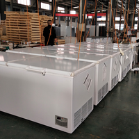 Congélateurs horizontaux pour supermarchés, vitrine de présentation pour aliments surgelés, congélateur pour glaces