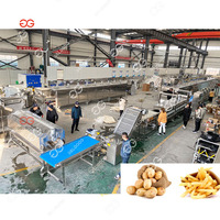 Frietjes Productie-En Verpakkingslijn Hoogwaardige Kalkoen 1000 Kg Volautomatische Frietproductielijn