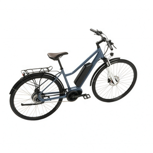 Vélo électrique de banlieue ECity Bike 28 pouces avec batterie, <span class=keywords><strong>Shimano</strong></span> <span class=keywords><strong>NEXUS</strong></span> <span class=keywords><strong>7</strong></span> vitesses, moteur Bafang 250W, frein hydraulique, classique - Product Image 1