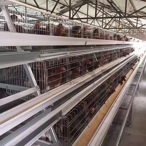 <span class=keywords><strong>Poulailler</strong></span> galvanisé en forme de H pour 200 poules, gain de place - Product Image 2