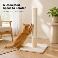 Arbre à chat mural moderne de luxe de haute qualité, écologique, facile à assembler, avec griffoir en sisal, 62 cm, 1 niveau, en carton