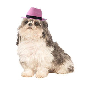 HOME PLANET Bestseller Haustier Cowboy hüte Hunde hüte Katzen hüte Dreieck Schal Set Kopf bedeckung - Product Image 3