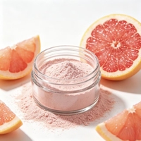 GMP Natuurlijk Hoogwaardig Voedingsmiddelkwaliteit Grapefruitpoeder 80 Mesh ISO9001 Gecertificeerd Vacuüm Verpakt Plastic Container Trommel