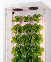 Système hydroponique vertical de jardinage personnalisé pour fournisseurs, armoires de culture hydroponique automatiques à commande intelligente pour plantes à feuilles vertes