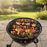 Barbecue au charbon de bois moderne en fer pour cuisine extérieure avec télécommande, idéal pour jardin, patio, camping – Facile à utiliser et à nettoyer