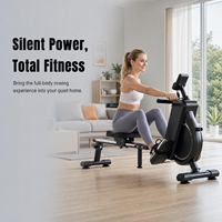 Système de Rameur Magnétique Silencieux Haut de Gamme pour Entraînement Cardio à Domicile avec Siège Confortable