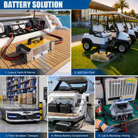 Chargeur de batterie étanche IP65/67 24V 36V 48V 72V 96V pour batteries au plomb scellées et LiFePO4, professionnel industriel/OEM