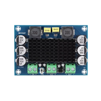 Carte d'amplificateur de puissance numérique M542 - Carte d'amplificateur audio numérique mono 100W - 12-26V TPA3116D2