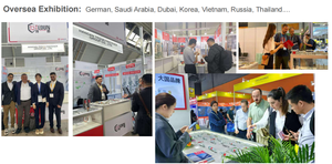 M8 * 100 thép carbon, bu lông Neo nêm mạ kẽm, cấu trúc tòa nhà, thanh ren và kẹp, vít bảng xi măng - Product Image 4