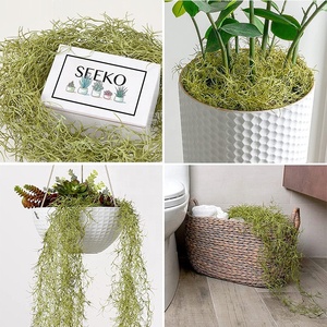 <span class=keywords><strong>Musgo</strong></span> de imitación para plantas en maceta, plantas colgantes de <span class=keywords><strong>musgo</strong></span> <span class=keywords><strong>español</strong></span> realistas, decoración Artificial - Product Image 5