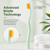 Brosse à dents manuelle populaire à poignée confortable et fermeté moyenne pour l'hygiène bucco-dentaire à domicile et les soins quotidiens de nettoyage des dents