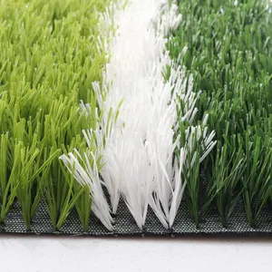 Field Unblemish Carpet Grass Artificial Grass Football Fields Depuy Synthes Speedarc Basketball putting green