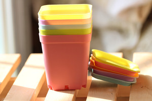 Chậu hoa nhỏ nhiều màu P272, chậu cây để bàn, cây mọng nước, chậu hoa nhựa, trang trí nhà cửa, hình vuông, màu kẹo ngọt - Product Image 3