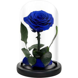 Rosa clásica Flor de la eternidad Las mismas rosas reales frescas conservadas en cúpula de cristal como La Bella y La Bestia Rosa en cristal con caja de regalo - Product Image 1