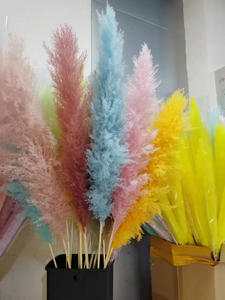 Piccole canne colorate legna da ardere fiori immortali casa matrimonio natale fai da te decorazione pampa erba pampa reed fiori secchi - Product Image 4