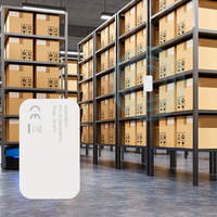 Capteur de température de la chaîne du froid de localisation intérieure IoT Enregistreur de données sans fil Bluetooth Ble Enregistreur de données de température d'actifs