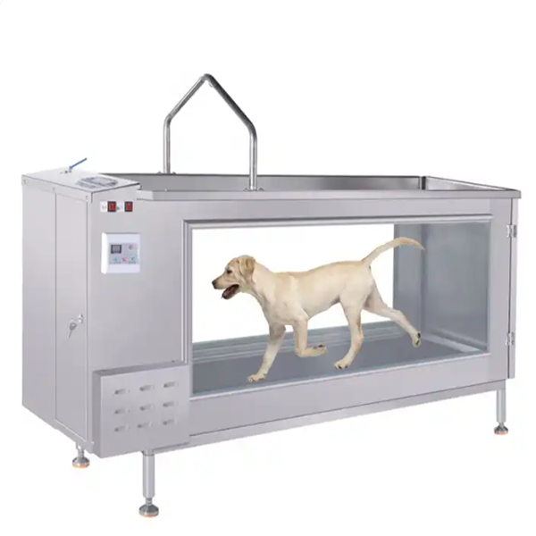 Amain OEM/ODM Multi-sizes Automatic Underwater Treadmill for Large and Small Animals Cheap Dog Water Treadmill