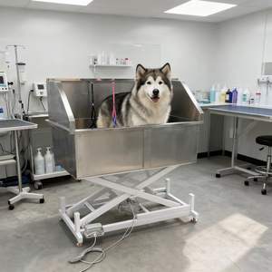 مجفف حلاقة بيطري فاخر من الفولاذ المقاوم للصدأ من أجل القطط والكلاب بتصميم عصري مستدام - Product Image 1