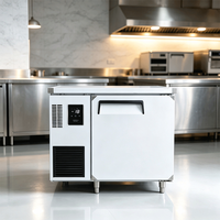 Refrigerador Comercial de Una Puerta, Congelador Bajo Mostrador, Congelador de Acero Inoxidable con Banco de Trabajo, Enfriador Comercial Bajo Mostrador