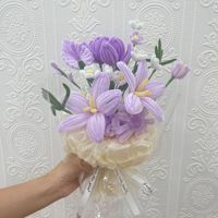 Kit d'activités créatives DIY Bouquet de tulipes en fil de fer pour adultes et enfants, fleurs et plantes décoratives pour la Fête des Mères, outils artistiques