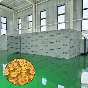 Máquina Deshidratadora de Frutas de Alta Capacidad, Máquina para Secar Mangos, Máquina para Secar Melocotones Amarillos - Product Image 1