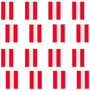 Norway Custom Size 2026 Football Soccer Fans Team String Flag 3*5ft Flag Garden Flag Car Flag for Decoration - Product Image 5