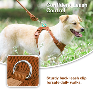 Arnés Ajustable de Nailon Suave y Transpirable para Perros, con Correa para el Pecho y Collar para Cachorros, Gatos y Mascotas Pequeñas, Talla M, en Stock - Product Image 6