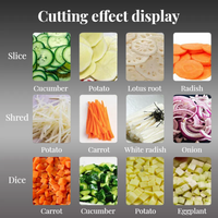 Professionnel Légumes Fruits Cube Broyeur Cutter Trancheuse Noix De Coco Oignon Pommes De Terre Chips Machine De Découpe Moteur pour La Cuisine À Domicile