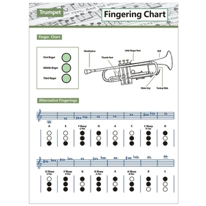 Póster de pared de doble cara con tabla de dedilado para clarinete, para enseñanza musical en escuelas de música, venta al por mayor - Product Image 4