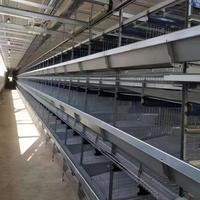 Équipement d'élevage de volailles en cage à fil galvanisé à chaud entièrement automatique, durée de vie de 20 ans, pour fermes avicoles en Afrique - Vente chaude