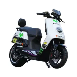 Individuelles chinesisches Elektromotorrad 48V 60V 72V Elektromotorrad Motorrad