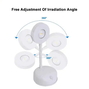 Lámpara LED Decorativa con Sensor de Movimiento, Funciona con Batería, <span class=keywords><strong>para</strong></span> <span class=keywords><strong>Cuadros</strong></span>, Montaje en Pared, <span class=keywords><strong>para</strong></span> Dormitorio - Product Image 3