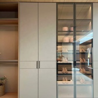 Dressing moderne sur mesure avec panneaux en cuir, cloison en verre et éclairage LED, rangement personnalisé