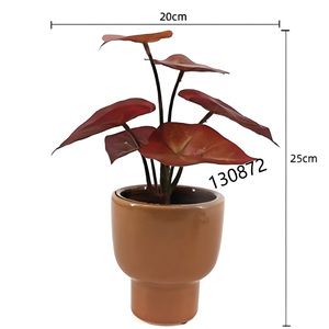 <span class=keywords><strong>ต้น</strong></span>คาลเลเดียม<span class=keywords><strong>สี</strong></span><span class=keywords><strong>แดง</strong></span>เข้มประดิษฐ์ในกระถางเซรามิก<span class=keywords><strong>สี</strong></span>อำพัน <span class=keywords><strong>ต้น</strong></span>ไม้ปลอมดูแลง่ายสำหรับบ้านสไตล์โมเดิร์นกลางศตวรรษ - Product Image 6