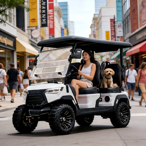 Nouveau véhicule de transport innovant à 4 places pour propriétés privées et manoirs, idéal pour les terrains non publics, buggy de golf homologué CE - Product Image 1