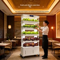 Système de culture hydroponique automatique intelligent sans sol pour légumes ; Usine de culture intérieure domestique ; Système hydroponique vertical pour fruits et légumes