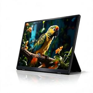 จอภาพพกพา 16 นิ้ว IPS N3 1200p LCD 360 °   อุปกรณ์ต่อขยายหน้าจอแล็ปท็อปแบบหมุนได้พร้อมลำโพงในตัวและพอร์ตมินิ <span class=keywords><strong>HDMI</strong></span> สำหรับพีซีและแมค - Product Image 1